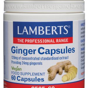 Jengibre 14.400 mg como extracto de la raíz