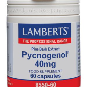 Pycnogenol® 40 mg es un Extracto de Corteza de Pino Marítimo